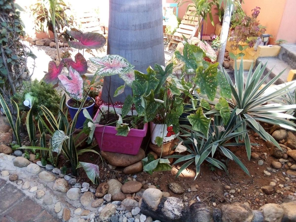 Casa Gio Villa Puerto Escondido Kültér fotó