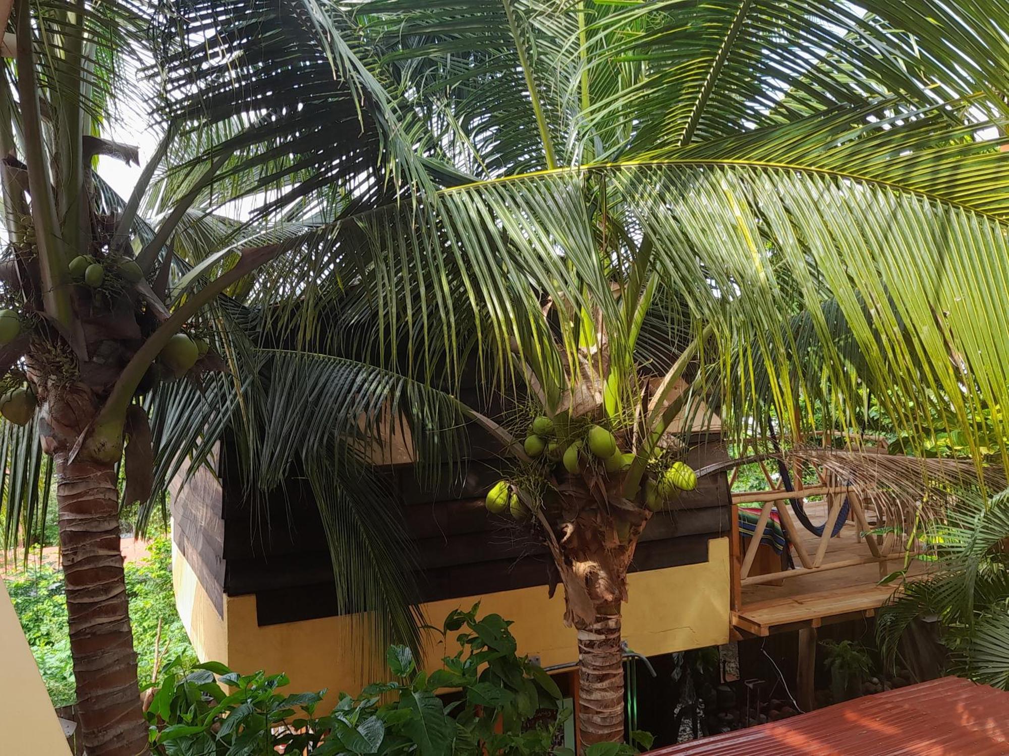 Casa Gio Villa Puerto Escondido Kültér fotó
